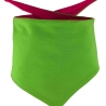 Hunde Dreiecks Halstuch Multicolor personalisiert mit Wunschmotiv