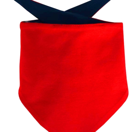 Hunde Dreiecks Halstuch Multicolor personalisiert mit Wunschmotiv