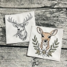 ED0031– Stickdateien Hirsche & Rehe (Doro-Collection)