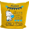 Kissen 40x40 cm WELCOME BOY personalisiert mit Geburtsdaten/Name