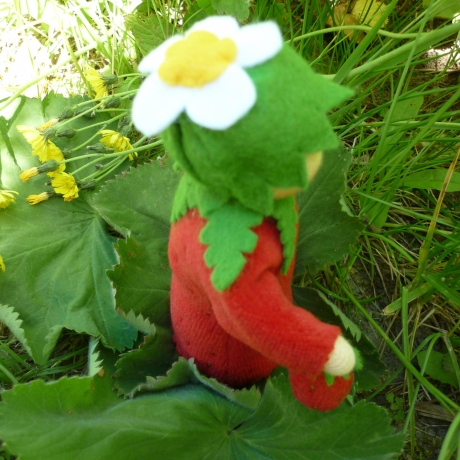 Erdbeerpüppchen, Blumenkind Erdbeere