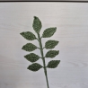 Blätterzweig - dunkelgrün (Häkelblume)