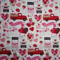 Falling In Love - items on white