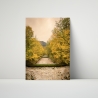 Fotografie Flussbett im Allgäu - FineArt Druck