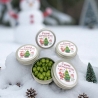 Gastgeschenk Weihnachten • Dose mit Weihnachtsmann & Schneemann