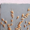 Gipsbild Gipsabdruck Relief 3D Gipsfliese Pflanzenabdruck Gips
