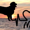 Aufkleber Herzlinie Heartbeat Hund Golden Retriever