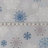 Hygge Glow snowflakes on silver