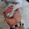 Handgefertigte Tierhaarperle mit Armband aus Edelsteinperlen