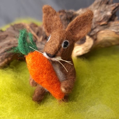 Hase