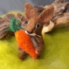 Hase