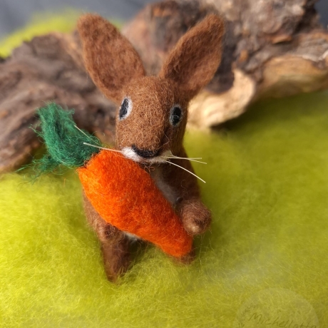 Hase