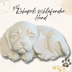 Ruhepol: schlafender Hund