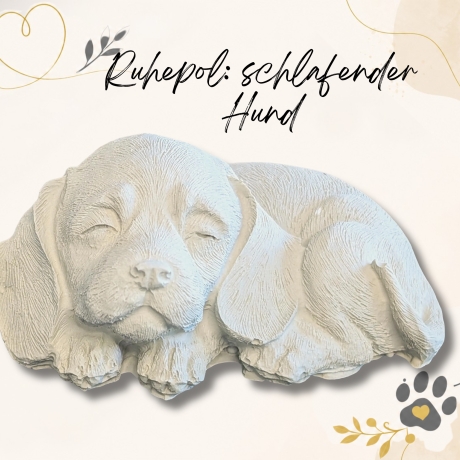 Ruhepol: schlafender Hund