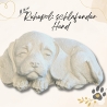 Ruhepol: schlafender Hund