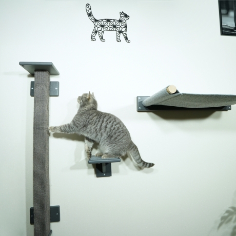 Hüpfstufe für Katzen - Katzenkletterwand