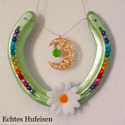 Echtes Hufeisen Glücksbringer Wandschmuck grün mit Halbmond
