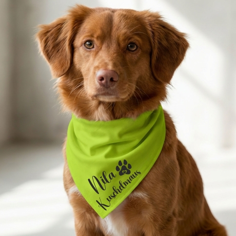 Dreieckstuch Hundehalstuch personalisiert mit deinem Wunschmotiv