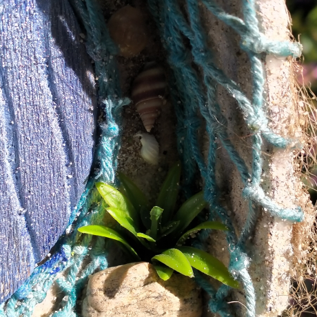 Ker Hobbit Strandhaus - Nistkasten 32mm - Muscheln & Meer