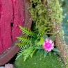 Rotes Hobbit Vogelhaus mit Moos & Pilzen - Nistkasten 32mm