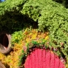 Hobbit Höhle Nistkasten rote Tür - Mooshaus 32mm - Pilze