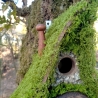 Hobbit Vogelhaus mit Moosdach & Herztür 