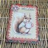 Weihnachtsgrüße - tierisch lustiges Eichhörnchen 