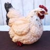 Deko Figur Huhn Henne Garten Balkon Beet Wohndeko groß Aufsteller
