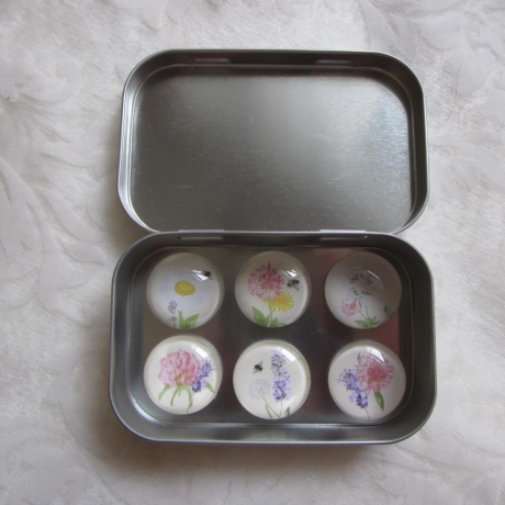 6er Set Cabochon Magnete Blumen Motive Pré