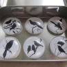 6er Set Cabochon Magnete Vogel Tiere Gris