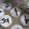 6er Set Cabochon Magnete Vogel Tiere Gris