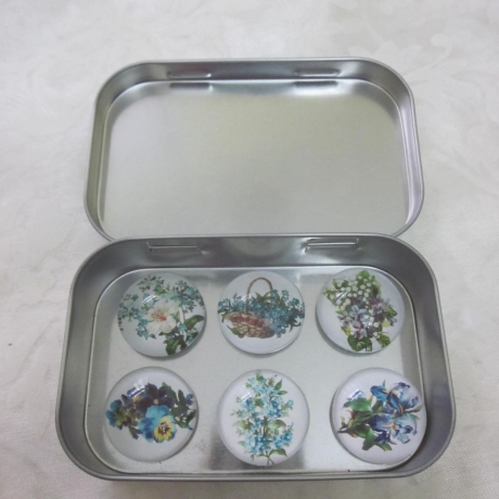 6er Set Cabochon Magnete Blumen Blau Bleu