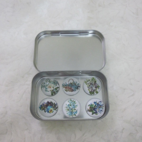 6er Set Cabochon Magnete Blumen Blau Bleu