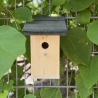 Vogelhaus