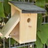 Vogelhaus
