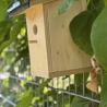 Vogelhaus