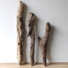 Treibholz Schwemmholz Driftwood 3 XL Hölzer Terrarium 48 - 72 cm 