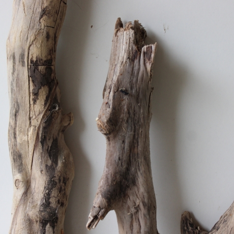 Treibholz Schwemmholz Driftwood 3 XL Hölzer Terrarium 48 - 72 cm 
