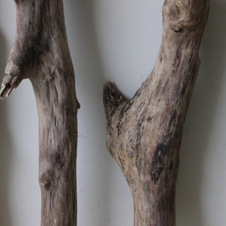 Treibholz Schwemmholz Driftwood 3 XL Hölzer Terrarium 48 - 72 cm 