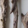 Treibholz Schwemmholz Driftwood 3 XL Hölzer Terrarium 48 - 72 cm 