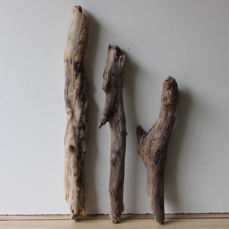 Treibholz Schwemmholz Driftwood 3 XL Hölzer Terrarium 48 - 72 cm 