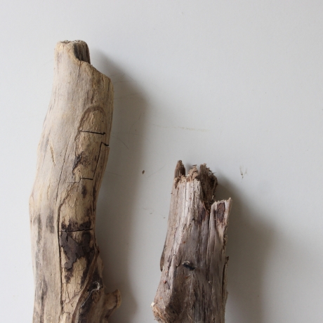 Treibholz Schwemmholz Driftwood 3 XL Hölzer Terrarium 48 - 72 cm 