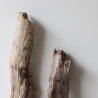 Treibholz Schwemmholz Driftwood 3 XL Hölzer Terrarium 48 - 72 cm 