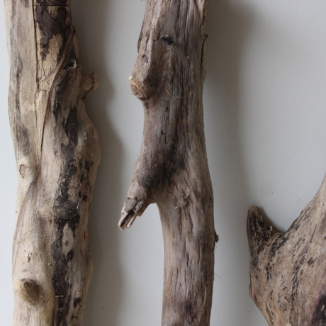 Treibholz Schwemmholz Driftwood 3 XL Hölzer Terrarium 48 - 72 cm 
