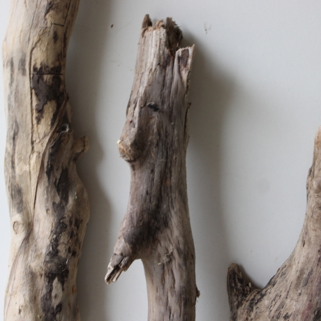 Treibholz Schwemmholz Driftwood 3 XL Hölzer Terrarium 48 - 72 cm 