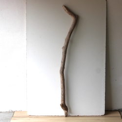 Treibholz Schwemmholz Driftwood 1  MEGA  Ast  Garderobe 140cm 