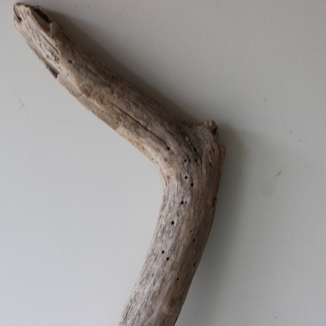 Treibholz Schwemmholz Driftwood 1  MEGA  Ast  Garderobe 140cm 