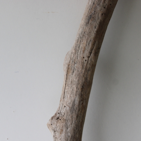 Treibholz Schwemmholz Driftwood 1  MEGA  Ast  Garderobe 140cm 