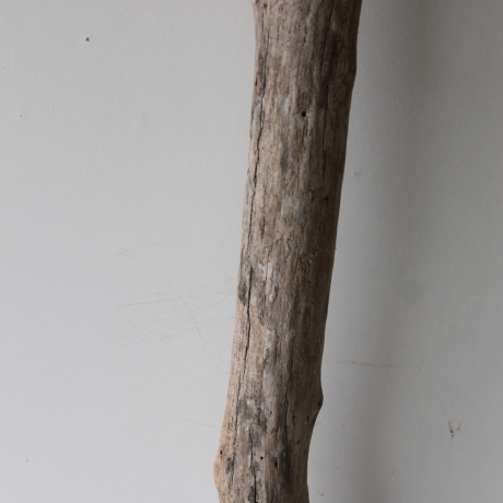 Treibholz Schwemmholz Driftwood 1  MEGA  Ast  Garderobe 140cm 
