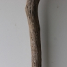 Treibholz Schwemmholz Driftwood 1  MEGA  Ast  Garderobe 140cm 